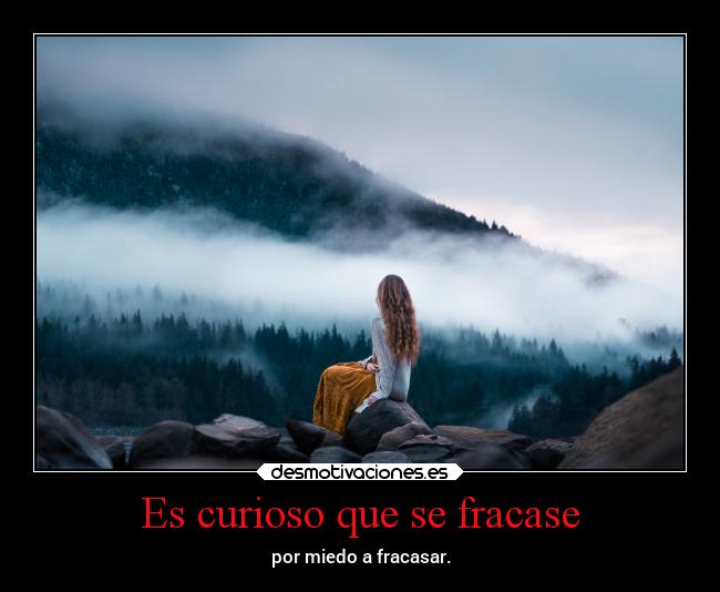 Es curioso que se fracase - 