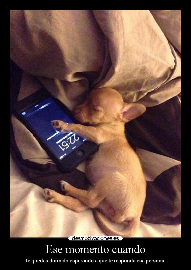Ese momento cuando - te quedas dormido esperando a que te responda esa persona.