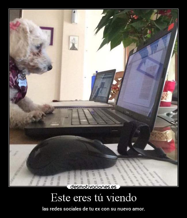 Este eres tú viendo - las redes sociales de tu ex con su nuevo amor.