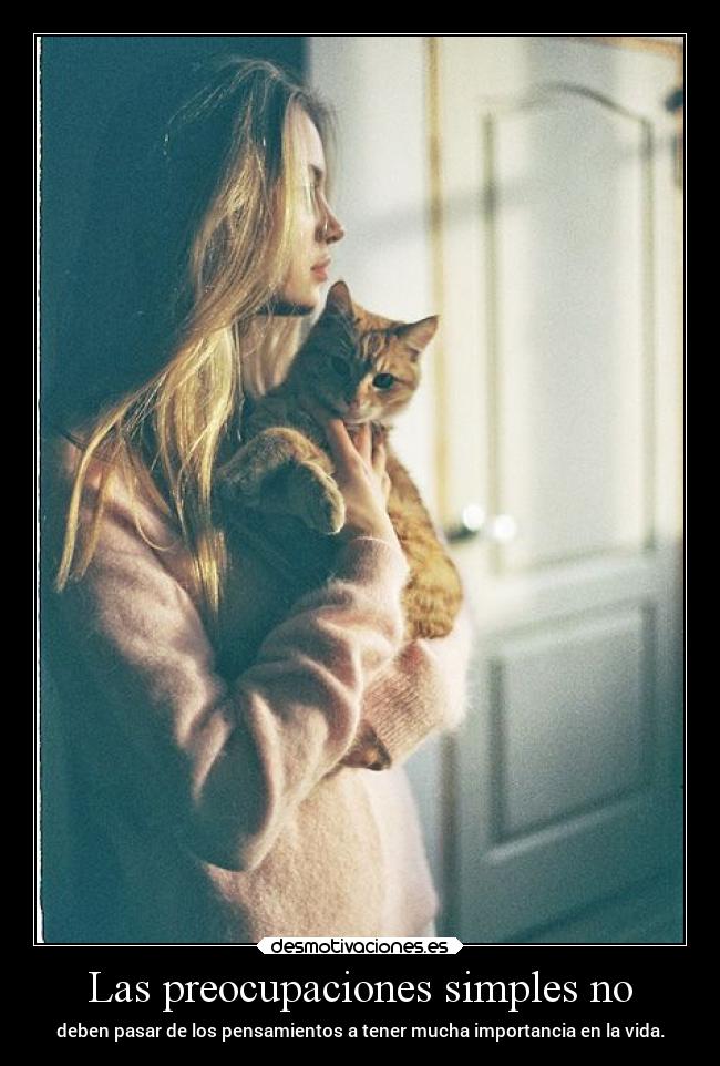 carteles vida preocupacion mipropiouniverso desmotivaciones