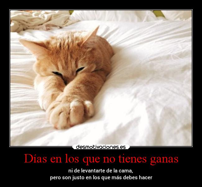 carteles vida sueno mortals unicorniosrojosyazules desmotivaciones