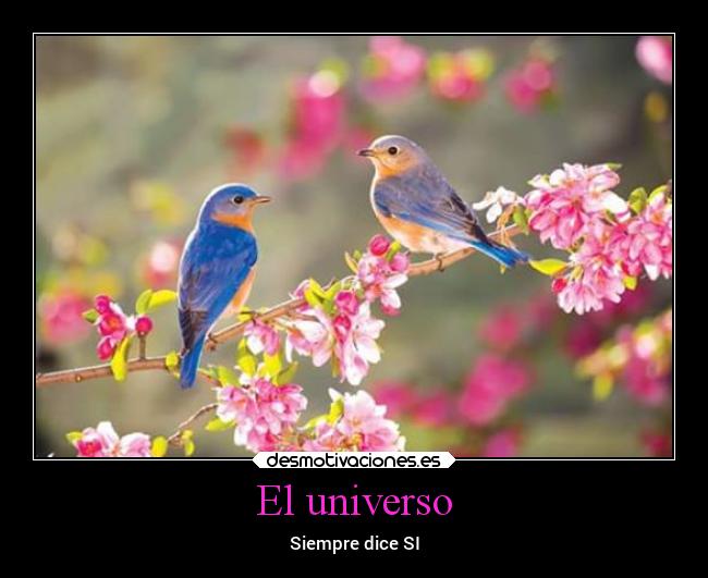 El universo - 