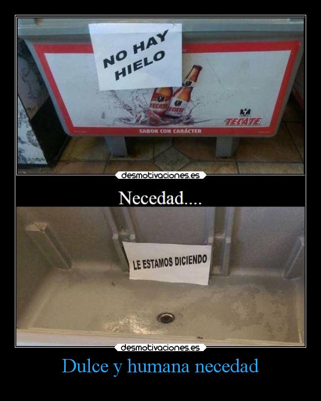 Dulce y humana necedad -