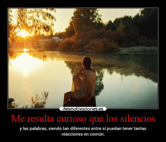 carteles alma destruyen salvan matan alivian amargan duelen desmotivaciones