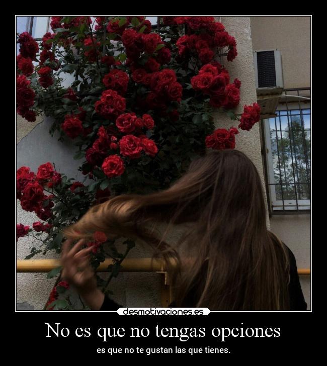 No es que no tengas opciones -
