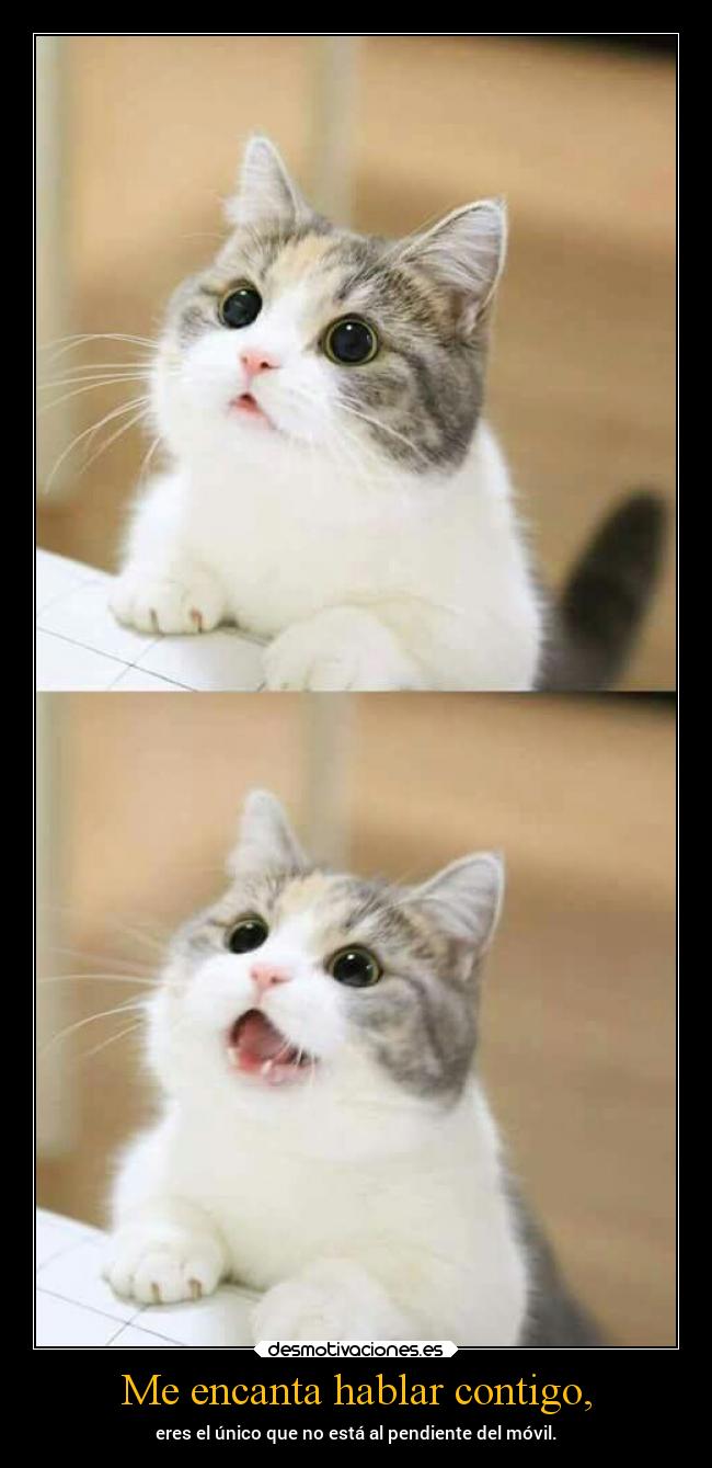 Me encanta hablar contigo, - 