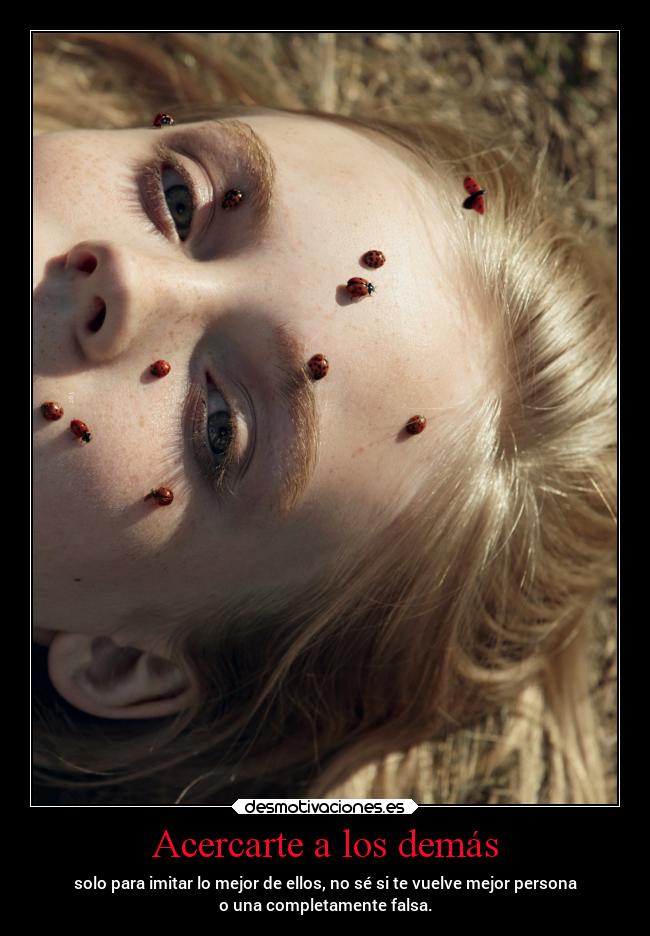 carteles amistad falsa eresunamoscamuerta airi desmotivaciones