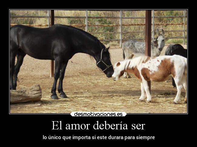 El amor debería ser - lo único que importa si este durara para siempre