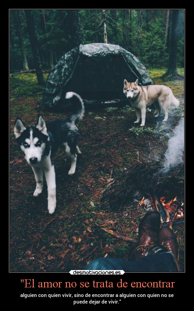 El amor no se trata de encontrar - alguien con quien vivir, sino de encontrar a alguien con quien no se
puede dejar de vivir.