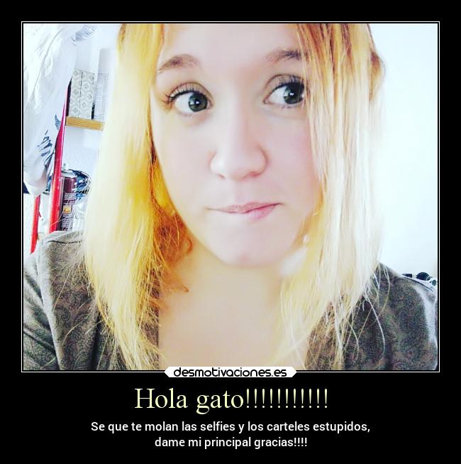 Hola gato!!!!!!!!!!! - Se que te molan las selfies y los carteles estupidos,
dame mi principal gracias!!!!
