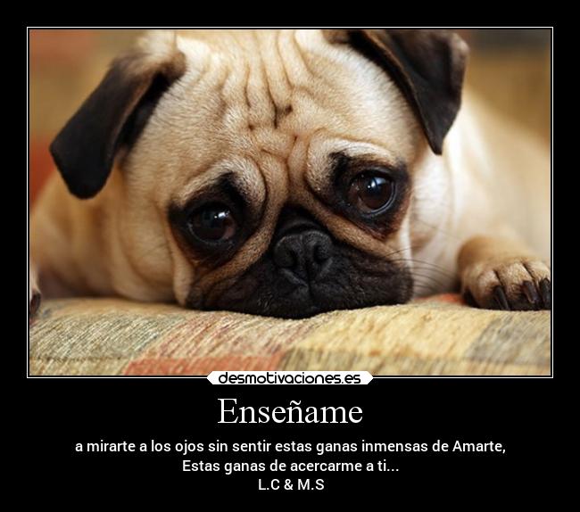 Enseñame - a mirarte a los ojos sin sentir estas ganas inmensas de Amarte,
Estas ganas de acercarme a ti...
L.C & M.S