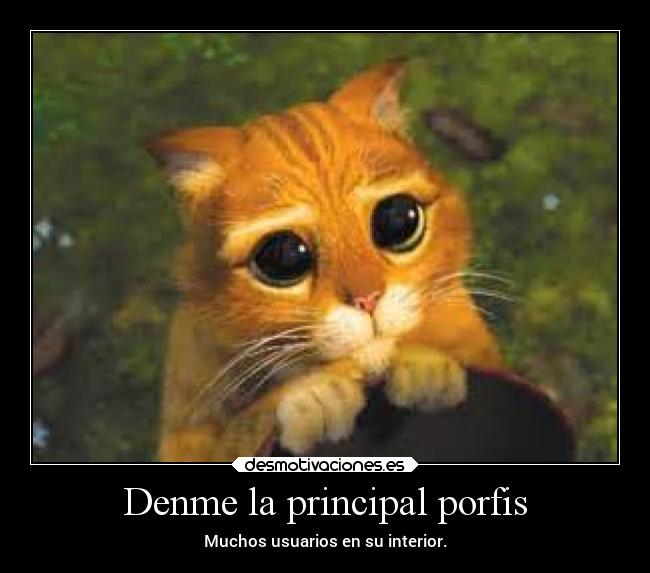 carteles animales chiste gatos graciosas humor memes risa desmotivaciones