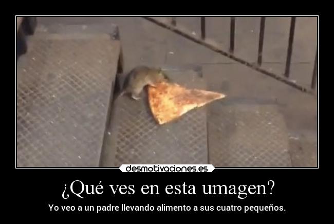 ¿Qué ves en esta umagen? - 