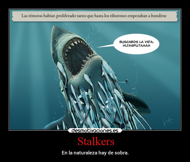 Stalkers - En la naturaleza hay de sobra.