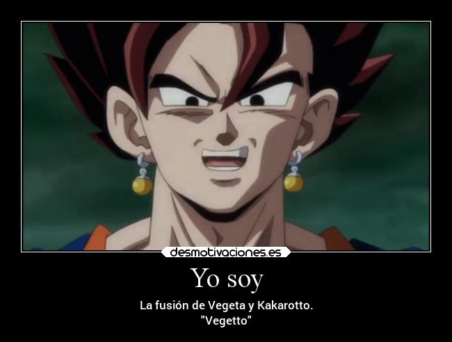 Yo soy - La fusión de Vegeta y Kakarotto.
Vegetto