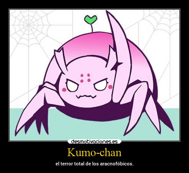 Kumo-chan - el terror total de los aracnofóbicos.