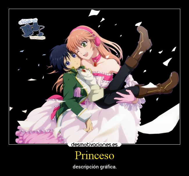 Princeso - descripción gráfica.