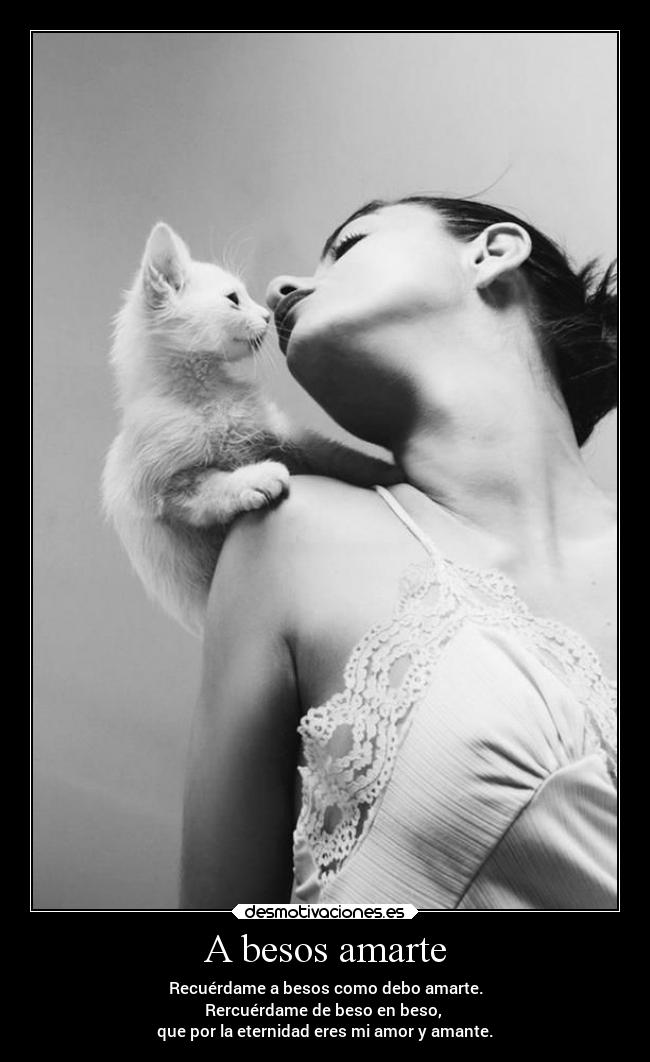 carteles besos alma thegirltwinkle gatosygatosymasgatos dosguiond labratzeresmimundo poetizoporti canticobratztito desmotivaciones