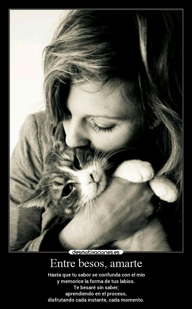carteles besos besos gatosygatosymasgatos dosguiond labratzeresmimundo canticobratztito desmotivaciones