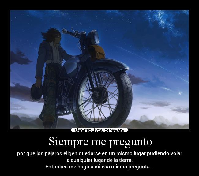 Siempre me pregunto - por que los pájaros eligen quedarse en un mismo lugar pudiendo volar
a cualquier lugar de la tierra.
Entonces me hago a mi esa misma pregunta...