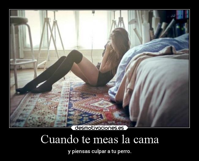 Cuando te meas la cama - y piensas culpar a tu perro.