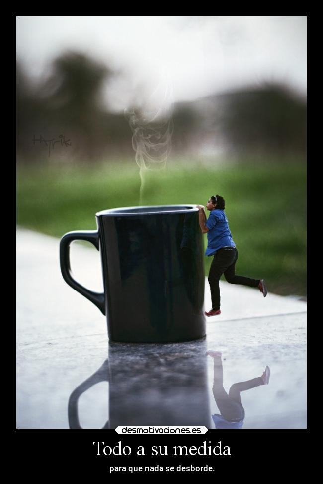 carteles desmotivaciones vida clandesplazado soyunidiotatm projectd manada32 desmotivaciones