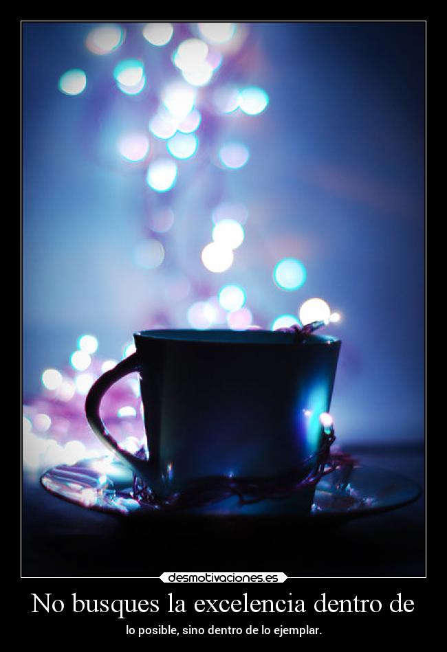 No busques la excelencia dentro de - 
