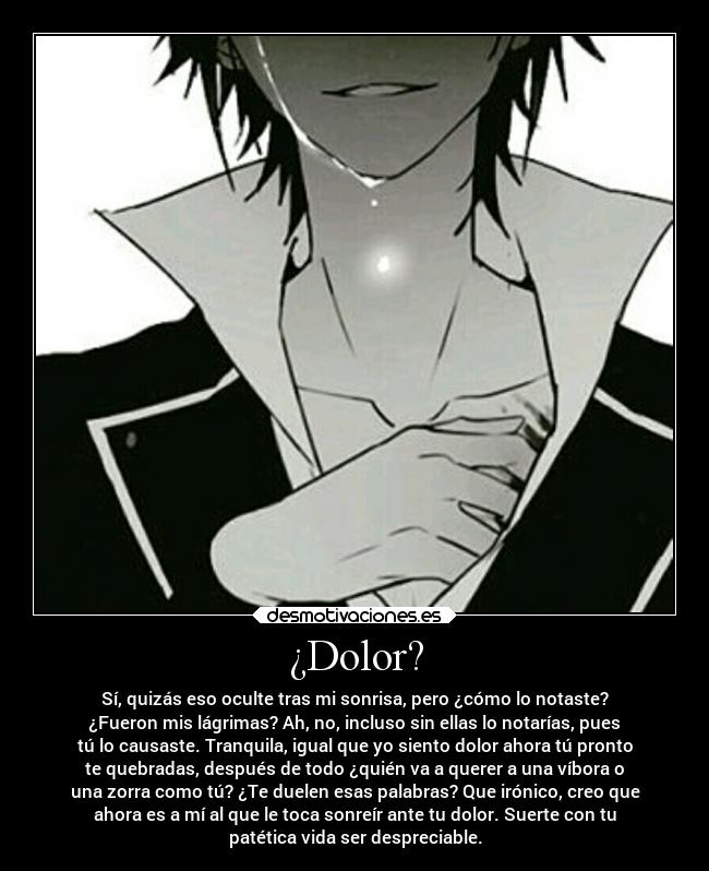 ¿Dolor? - Sí, quizás eso oculte tras mi sonrisa, pero ¿cómo lo notaste?
¿Fueron mis lágrimas? Ah, no, incluso sin ellas lo notarías, pues
tú lo causaste. Tranquila, igual que yo siento dolor ahora tú pronto
te quebradas, después de todo ¿quién va a querer a una víbora o
una zorra como tú? ¿Te duelen esas palabras? Que irónico, creo que
ahora es a mí al que le toca sonreír ante tu dolor. Suerte con tu
patética vida ser despreciable.