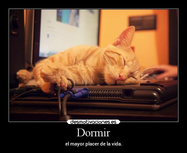 Dormir - el mayor placer de la vida.