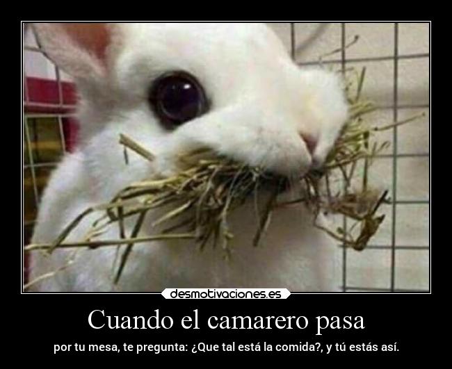 Cuando el camarero pasa -