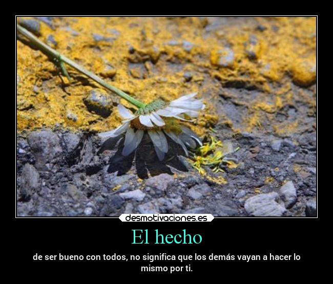 El hecho -