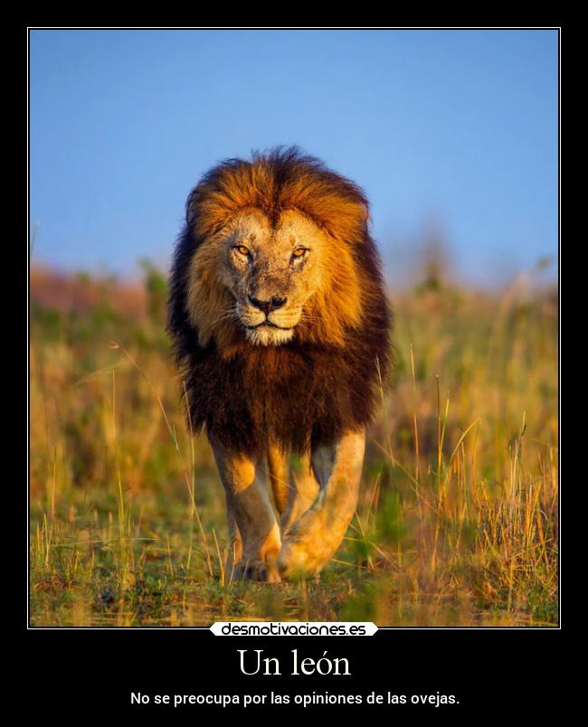 carteles frases vida decisiones desmotivaciones