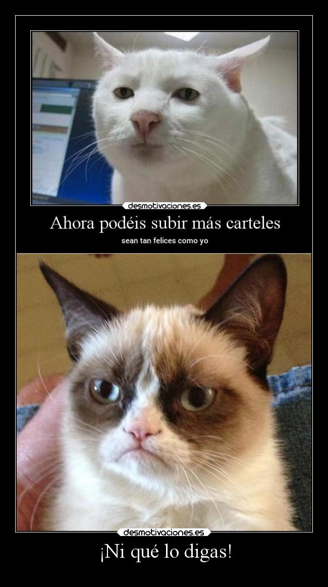 ¡Ni qué lo digas! -