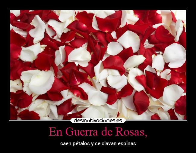 En Guerra de Rosas, - caen pétalos y se clavan espinas