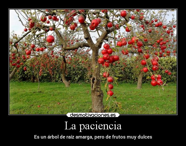 La paciencia - 