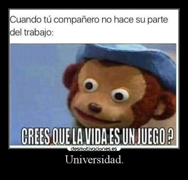 Universidad. - 