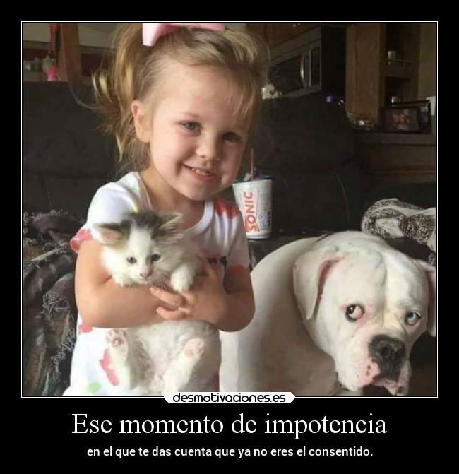 carteles humor desmotivaciones