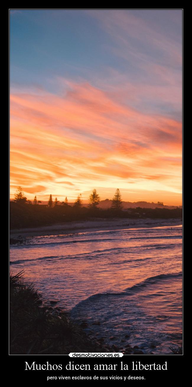 Muchos dicen amar la libertad -