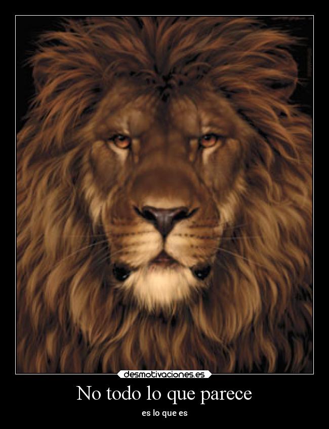 carteles motivaciones efectos visuales desmotivaciones