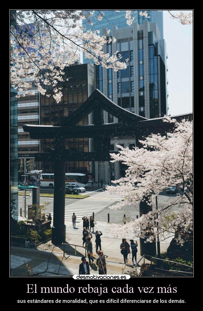 El mundo rebaja cada vez más -