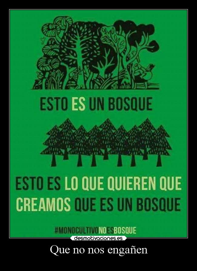 Que no nos engañen - 