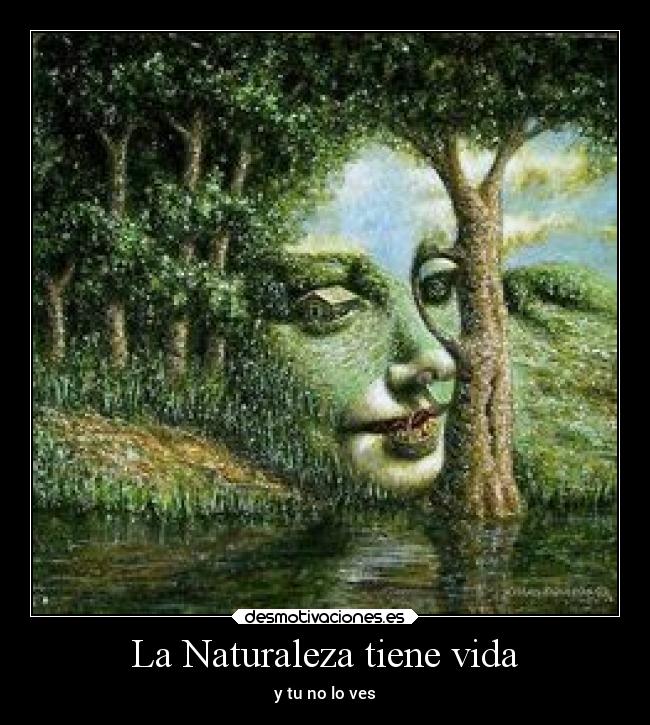 carteles naturaleza vida motivaciones naturaleza vida ver efectos visuales desmotivaciones