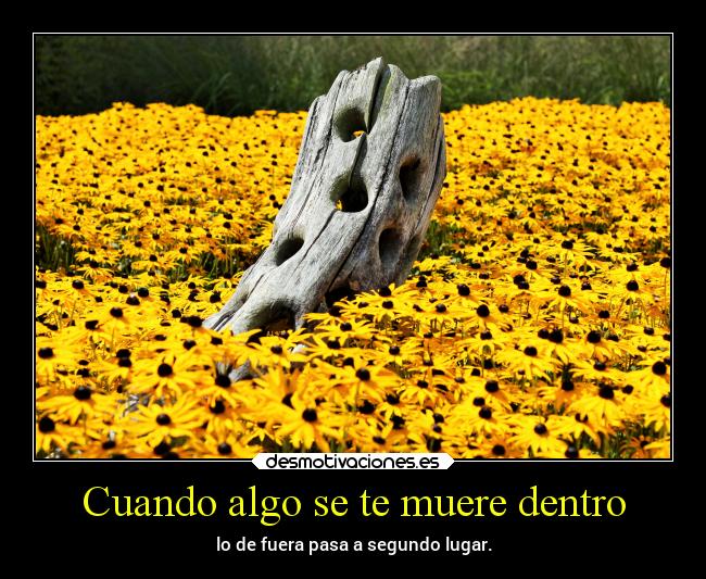 Cuando algo se te muere dentro -