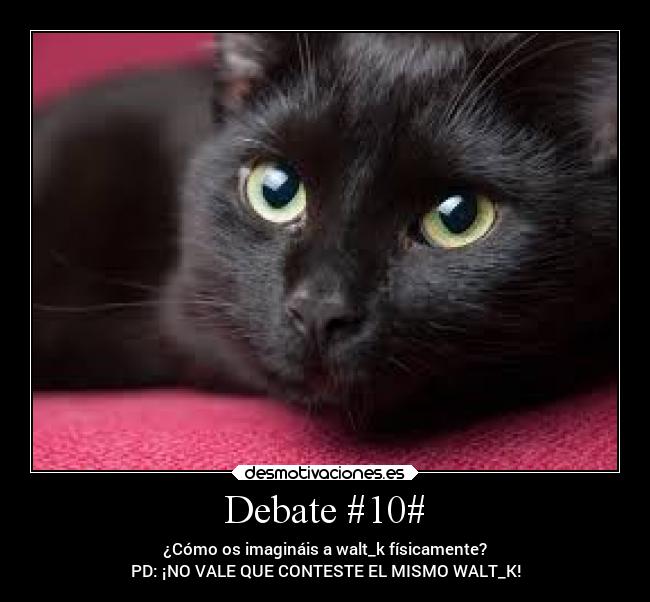 Debate #10# - ¿Cómo os imagináis a walt_k físicamente?
PD: ¡NO VALE QUE CONTESTE EL MISMO WALT_K!