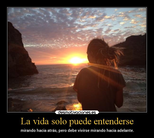 La vida solo puede entenderse - 