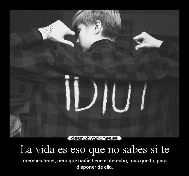 carteles vida desmotivaciones vida clandesplazado soyunidiotatm projectd manada32 desmotivaciones