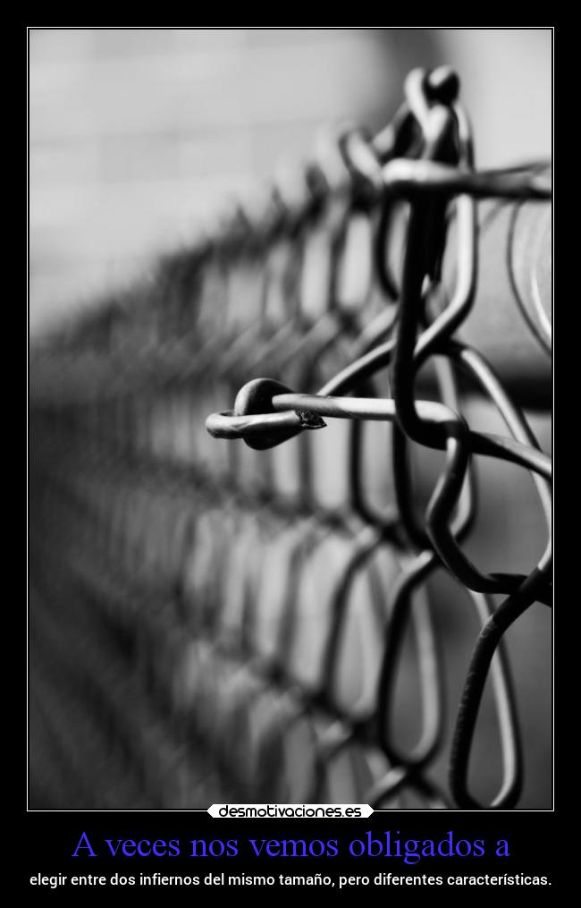 A veces nos vemos obligados a -