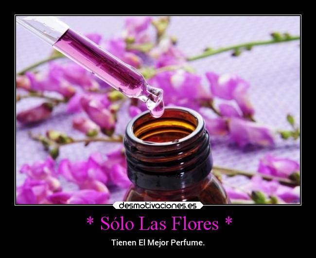 * Sólo Las Flores * - Tienen El Mejor Perfume.