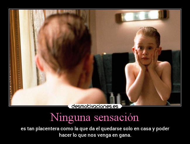 Ninguna sensación - es tan placentera como la que da el quedarse solo en casa y poder
hacer lo que nos venga en gana.