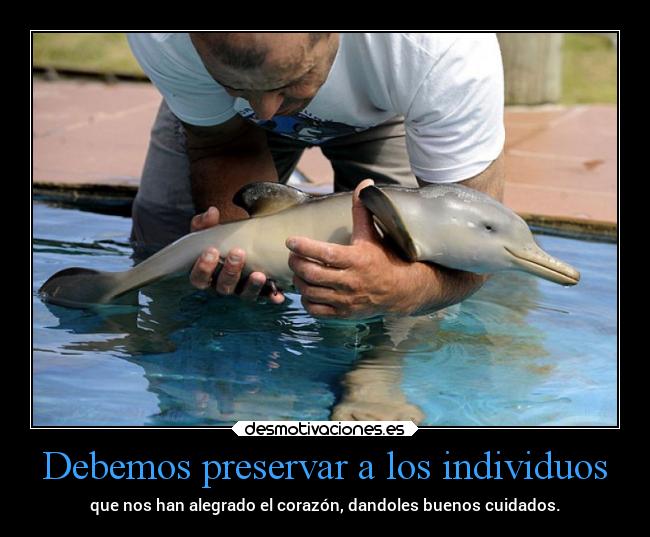 Debemos preservar a los individuos -